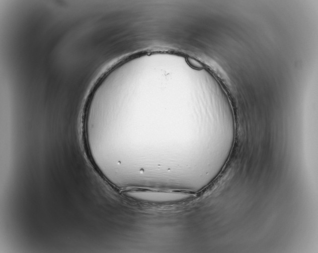 X0000093441183200711091448