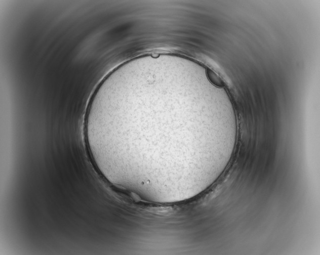 X0000093441186200711091448