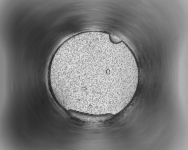 X0000093441187200711091448