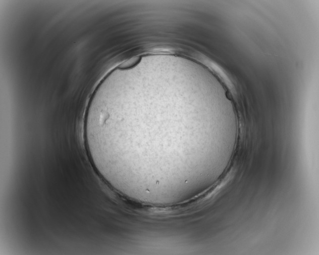 X0000093441194200711091448