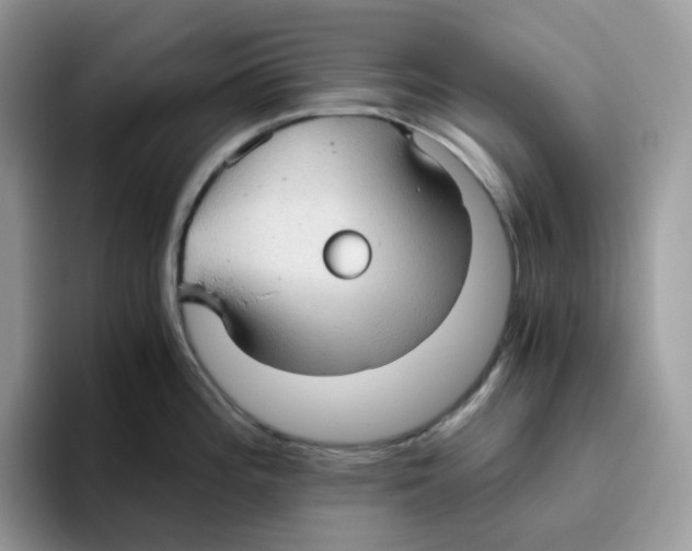 X0000093441196200711091448