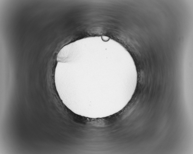 X0000093441201200711091448