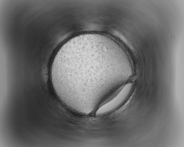 X0000093441213200711091448