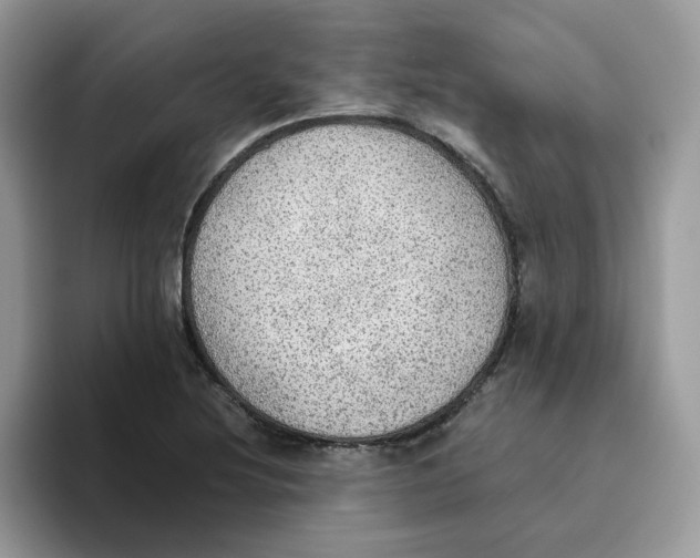 X0000093441220200711091448