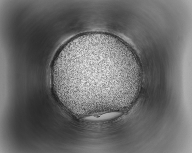 X0000093441223200711091448