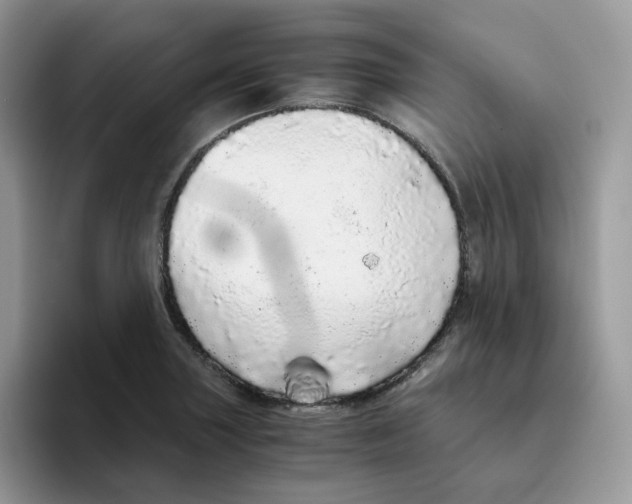 X0000093441227200711091448