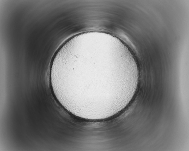 X0000093441228200711091448