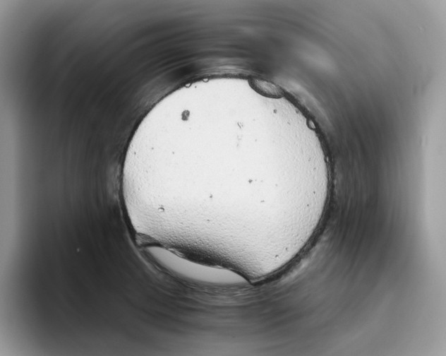 X0000093441233200711091448