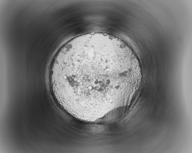 X0000093441235200711091448