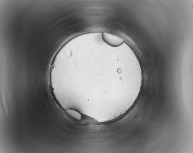 X0000093441236200711091448