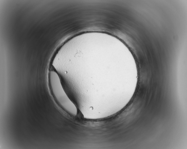 X0000093441237200711091448