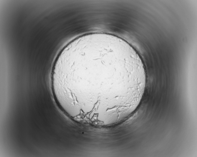 X0000093441239200711091448