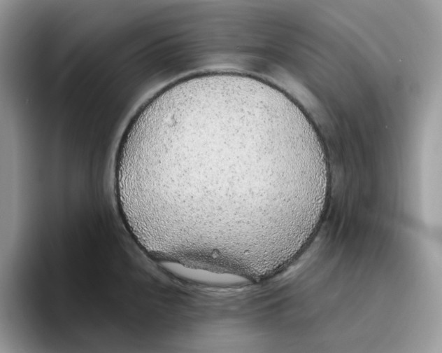 X0000093441240200711091448