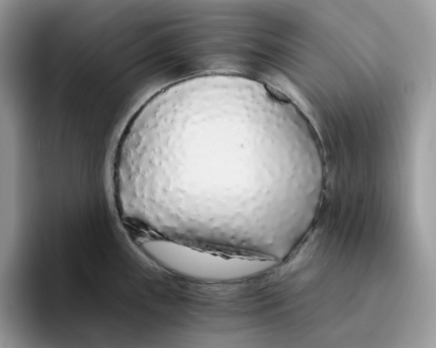 X0000093441243200711091448