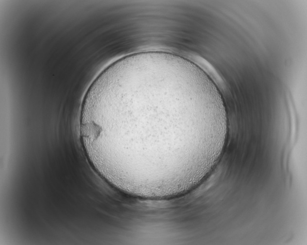 X0000093441244200711091448