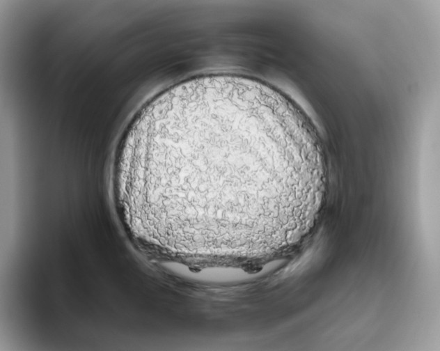 X0000093441245200711091448