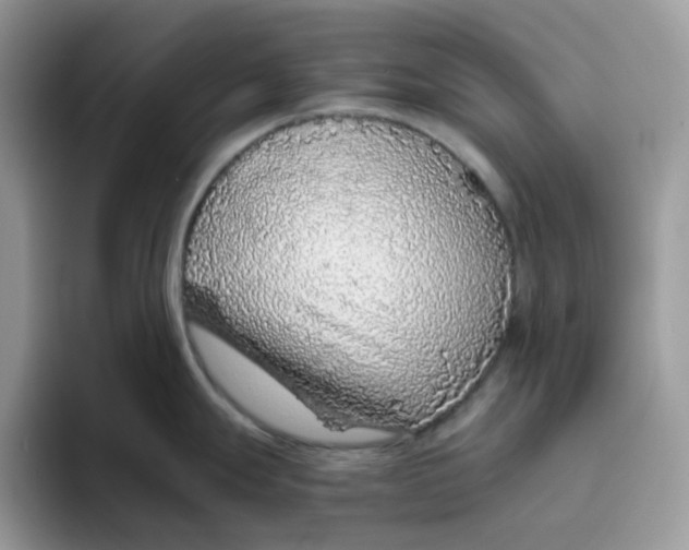 X0000093441247200711091448