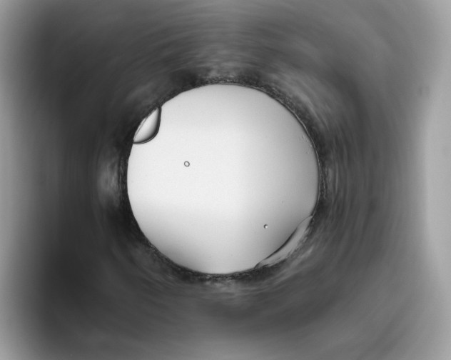 X0000093441250200711091448