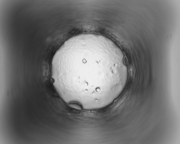 X0000093441251200711091448