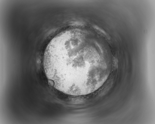 X0000093441254200711091448