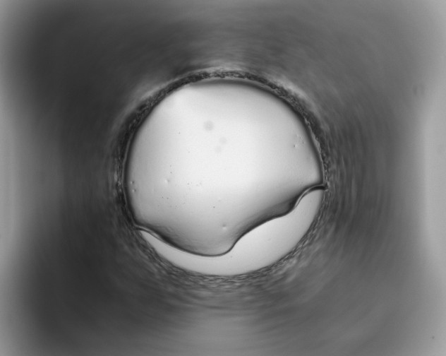 X0000093441255200711091448