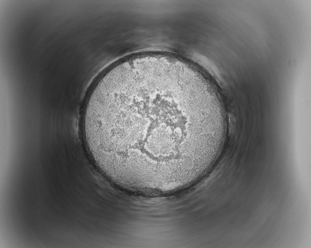 X0000093441260200711091448