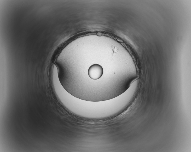 X0000093441261200711091447