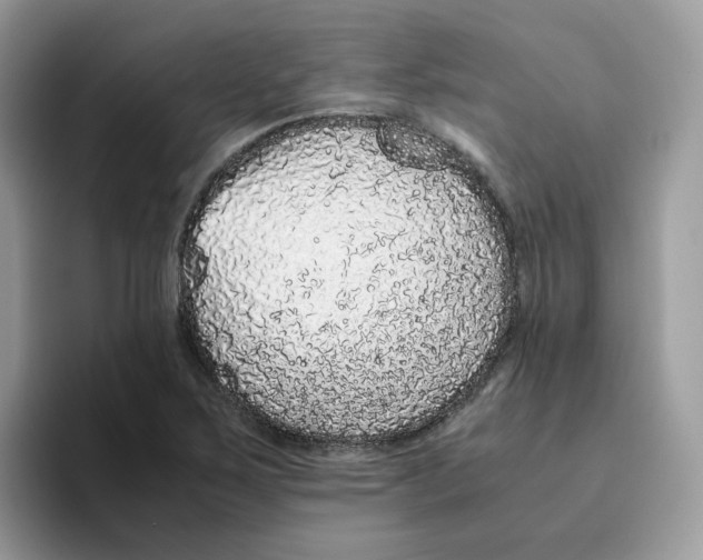 X0000093441267200711091447