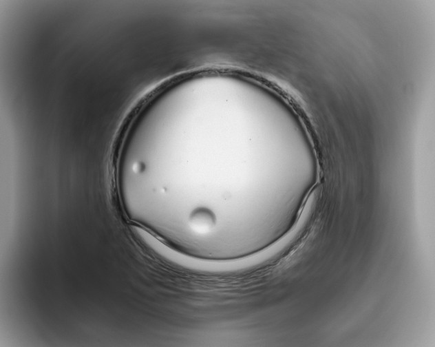 X0000093441271200711091447