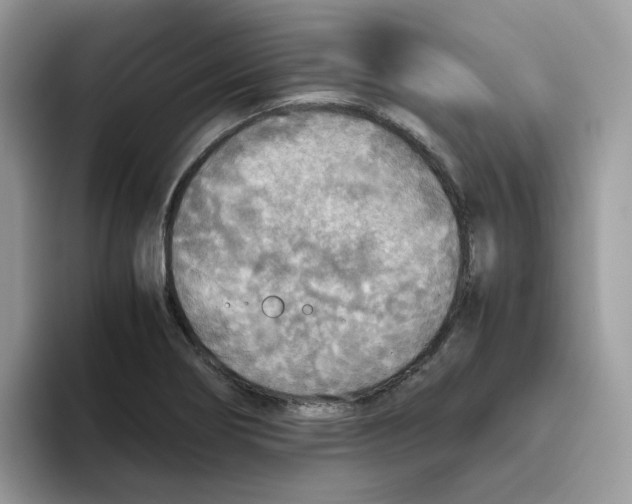 X0000093441274200711091447