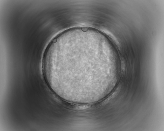 X0000093441278200711091447