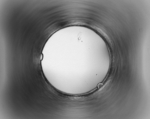 X0000093441281200711091447