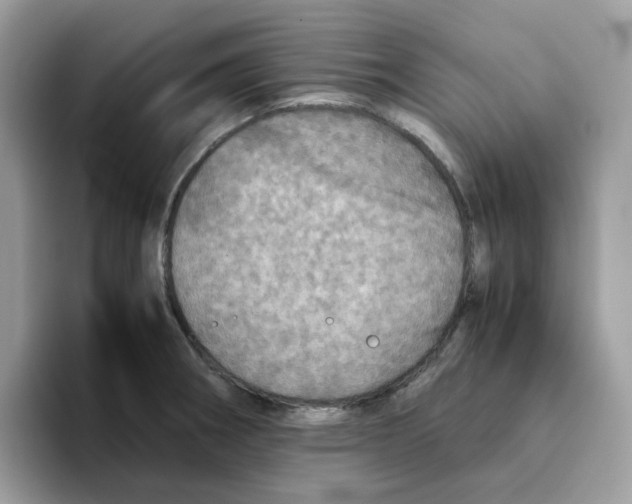 X0000093441282200711091447