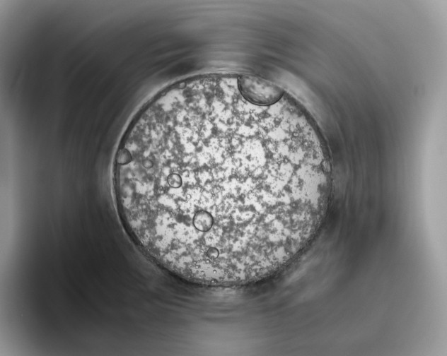 X0000093441283200711091447