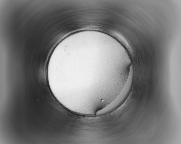 X0000093441284200711091447