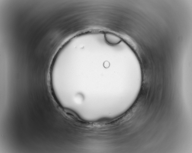 X0000093441287200711091447