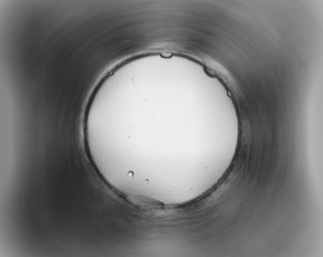 X0000093441288200711091447