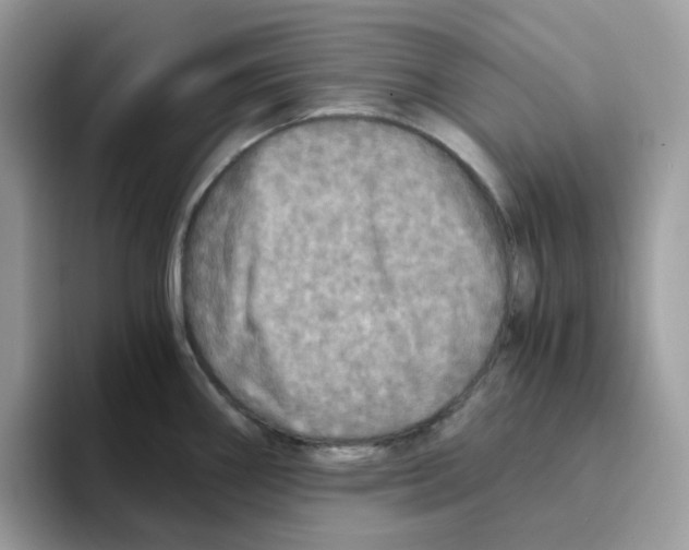 X0000093441290200711091447