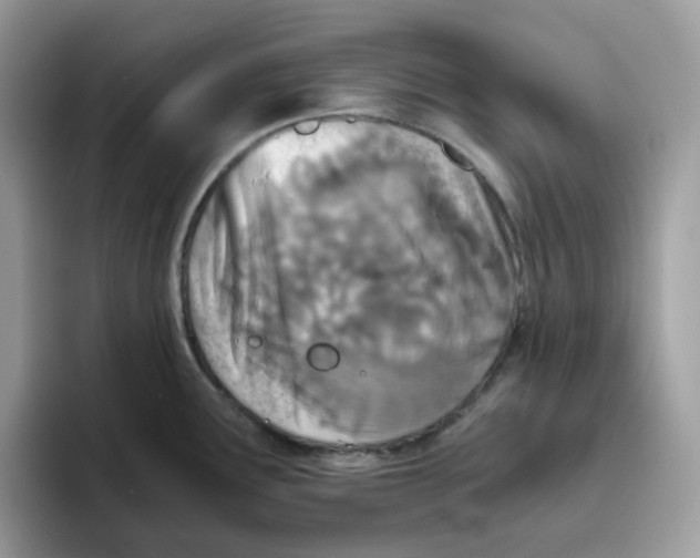 X0000093441291200711091447