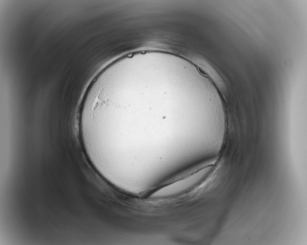 X0000093441292200711091447