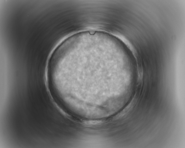 X0000093441294200711091447