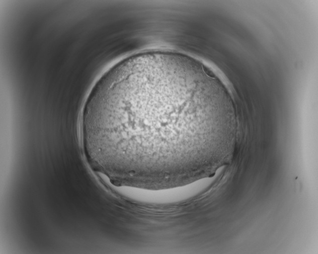 X0000093441295200711091447