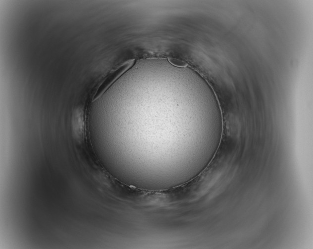 X0000093441298200711091446