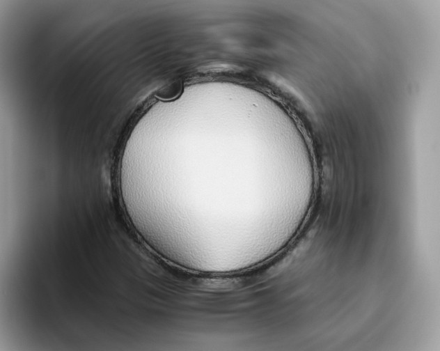 X0000093441305200711091446