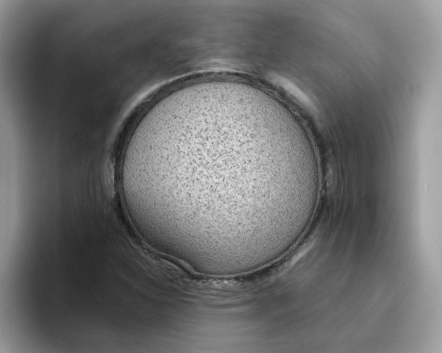 X0000093441310200711091446