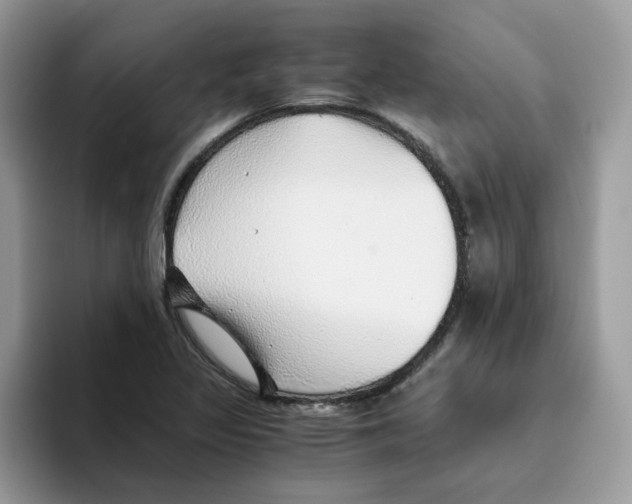 X0000093441317200711091447