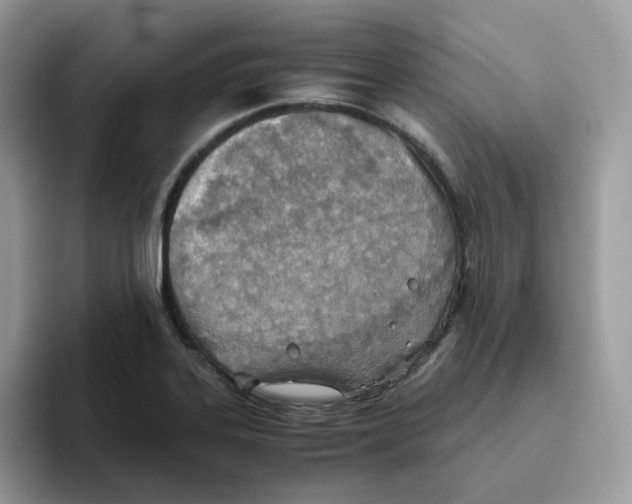 X0000093441323200711091447