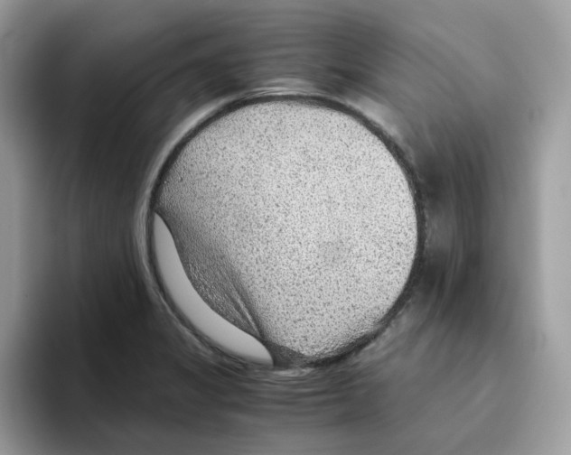 X0000093441325200711091447