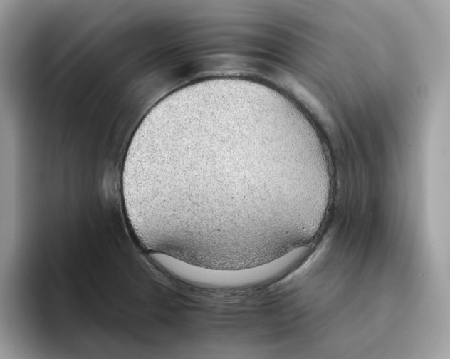 X0000093441329200711091447