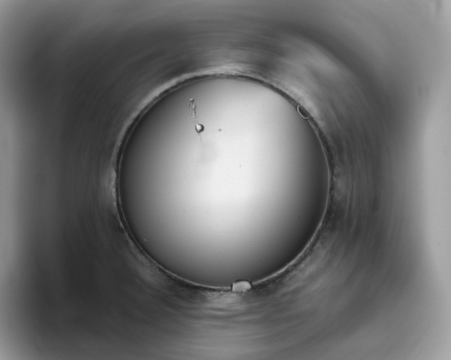 X0000093441332200711091447